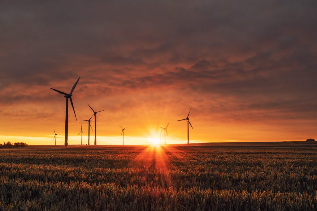 Picture of a sunrise or sunset over a field of wheat and windmills
